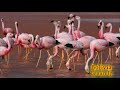 altiplano-boliviano-part-3.html