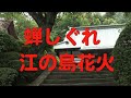 蝉しぐれ・江の島花火(「人と自然と江ノ電と」より)