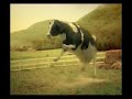 vaca nebuna, lapte fara grasimi