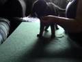 Early Puppy Training