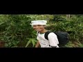 Trekking in Thailand is fun for everyone!