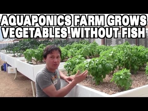 how to grow vegetables dvd