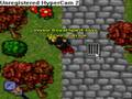 tibia quest