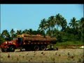 Puno sa Gubat Puno sa Gubat