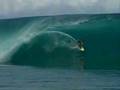 hawaii surfing