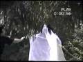 Il fantasma calabrese