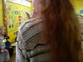 Laerskool Pietersburg Suid