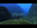 STEAM MACHINE / Aquanauts