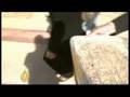Iranian's enjoy 'world's longest sandwich' - 17 Oct 08