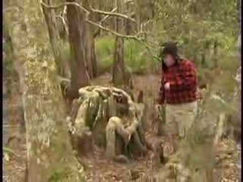 Animal Grappler- Episode #1: The ...
