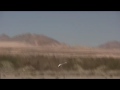 Gaui Hurricane 200 3D RC Heli - Justin Chi - Vegas, Mar 08 Gaui Hurricane 200 3D RC Heli - Justin Chi - Vegas, Mar 08
