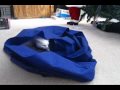 Playful Turkish Van Zoey and the Big Sack