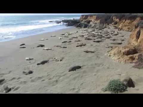 Video for Arroyo Del Corral Beach