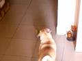 riki y sus lokuras