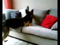 Paco en de bal