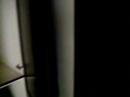 Honeymoon Condo