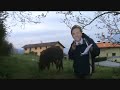 Video en Youtube