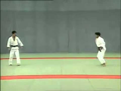 Nage No Kata