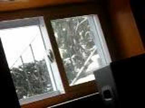 Sarah RabDAU 'Stop Calling' Strings and Snow
