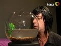 terra tv: backstage peter capusotto