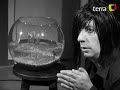 terra tv: backstage peter capusotto