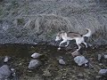 kaiffer se refresca