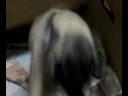 puggyhelen.mp4