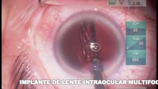 Claudia Jimenez Romo-10