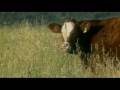 videos de Congres duurzame ontwikkeling Fontys Pabo Eindhoven (FPE)