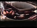 Cattle Handling in Chutes and Races