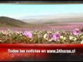 Titulares 24 Horas En la Mañana 26/07/10