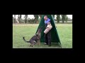 Preview video <strong>Fanny dell agordino </strong>
