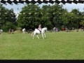 Willow & Lacey - Summer \