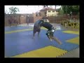Sadan FightSports Jiu Jitsu