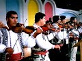 Taraful-de-muzica-po