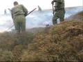 1 del 3/I Jydske Dragonregiment
