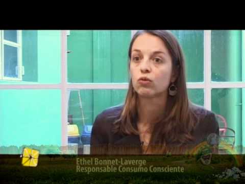 0 Sustentator TV