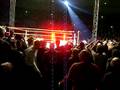 Raw in Rome 619 Live!