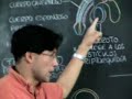 ADUNI SISTEMA REPRODUCTOR