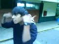sipo vs zw? no! bise vs diurno