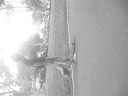 More Skating More Skating