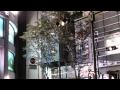 Akiba-2009-11-15-HD