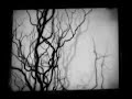 Experiments in the Revival of Organisms