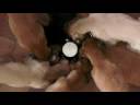 Afghan Puppy Pinwheel Afghan Puppy Pinwheel