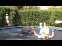 Ooga Booga Fitness Training Ooga Booga Fitness Training