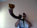 Shofar Prof�tico