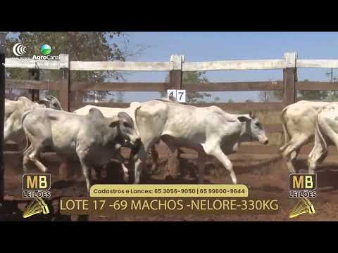 510� LEIL�O VIRTUAL MB LEIL�ES