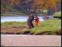 bear vs mankind (who gets the salmon)
