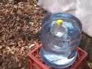 bottle bombs  4 of 7 