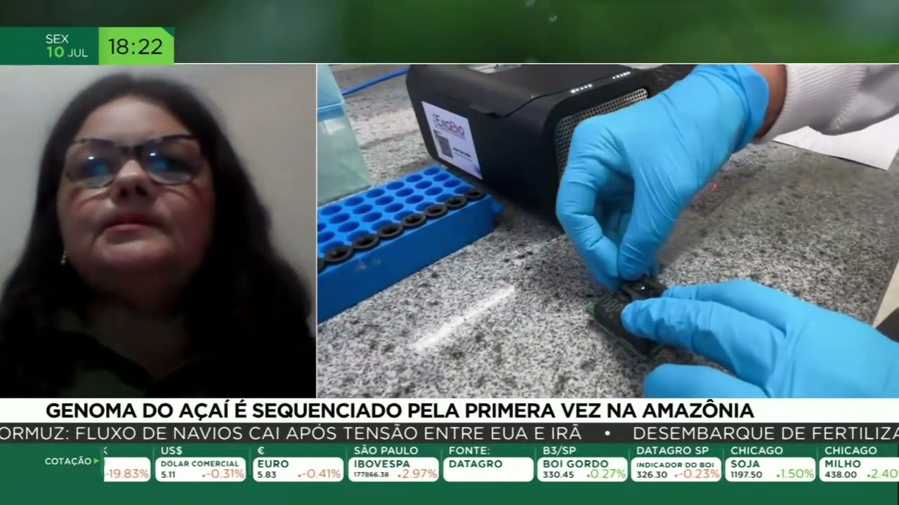 Genoma do açaí é sequenciado pela primeira vez na Amazônia